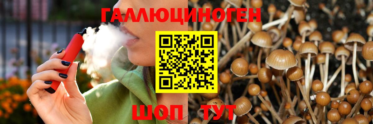 Псилоцибиновые грибы GOLDEN TEACHER  Вход с VPN  Евпатория  Псилоцибиновые грибы ЛСД 